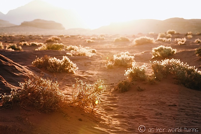 zara sunrise on the red sand dunes.¿clon de imagination de LV? +
